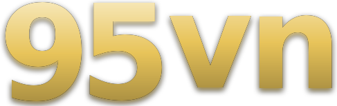 95vn logo